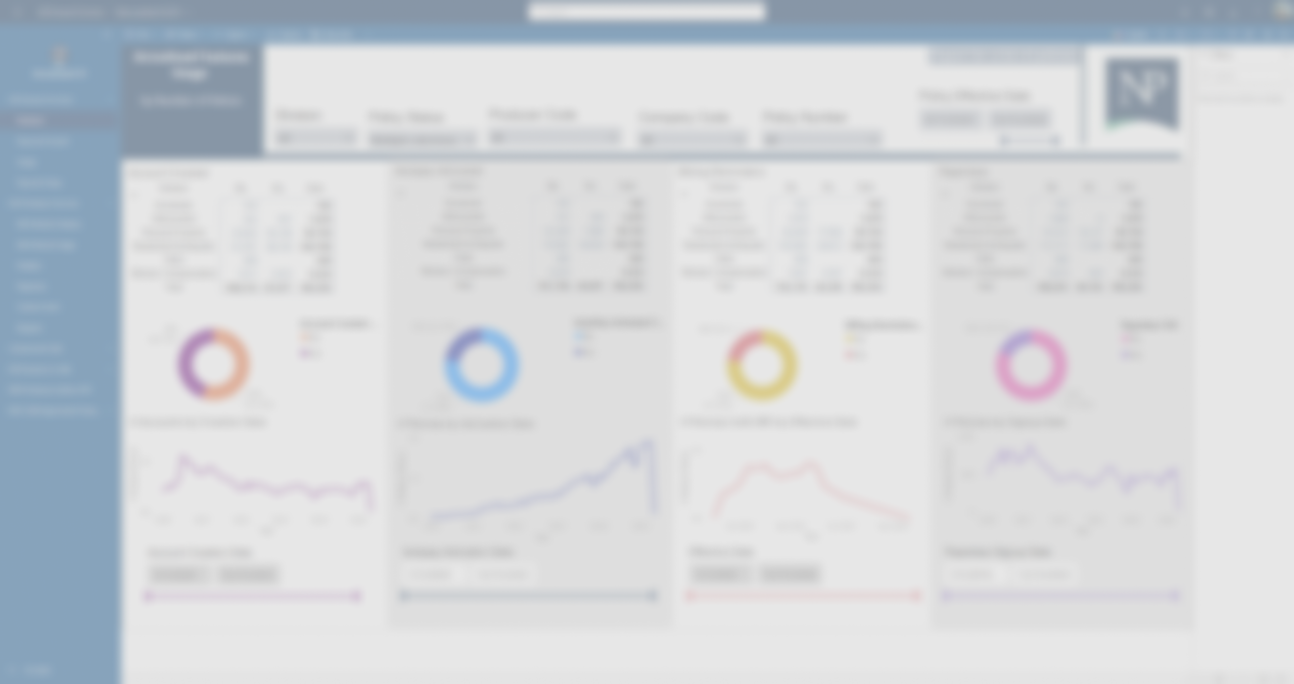 Customer Experience Report Screenshot 2